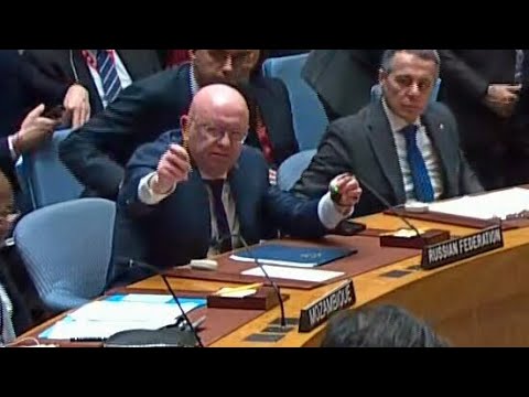 Russia’s UN ambassador interrupts moment of silence for Ukranian war victims