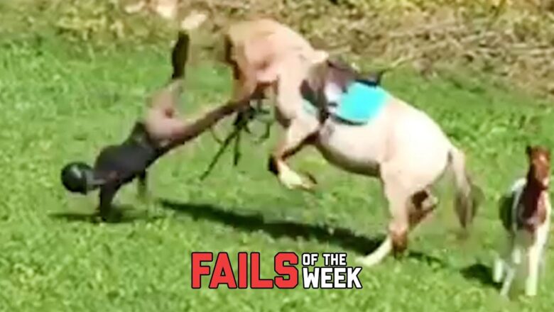 We’re Going Down! Fails Of The Week