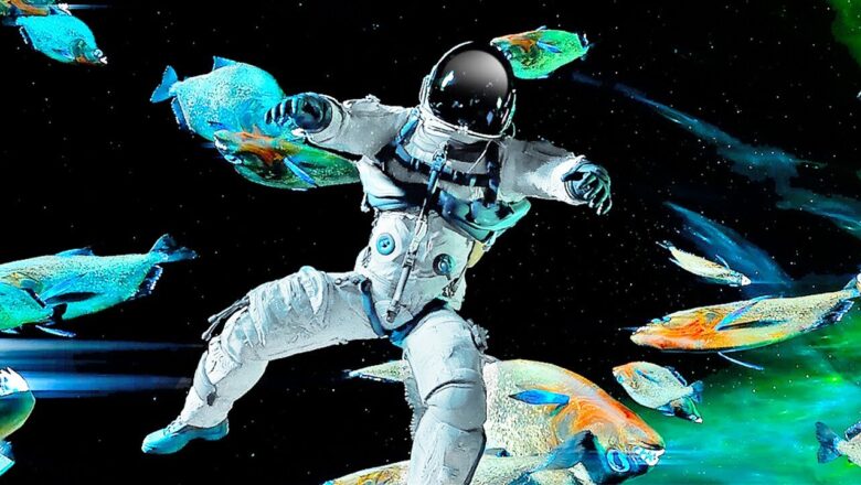 What If Piranhas Swam in Space – 3D Animation