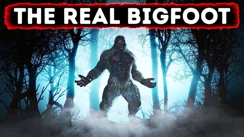 4 Incredible Encounters with Bigfoot || Does the Evidence Exist?