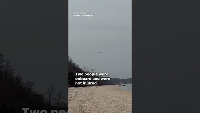 Malfunctioning plane makes emergency landing on Long Island beach #Shorts