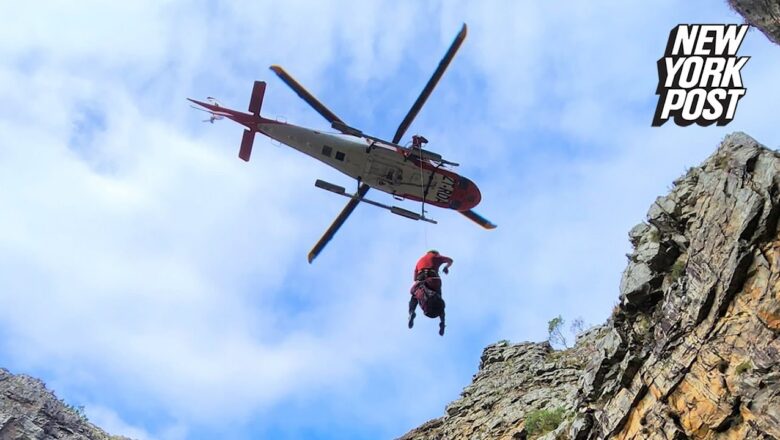 Rock-throwing baboons break hikers’ legs: ‘Exploded on impact’ | New York Post