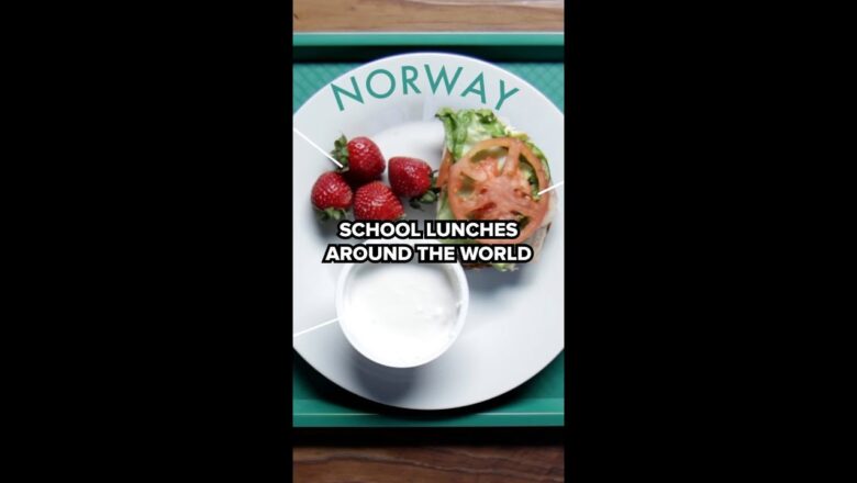 School Lunches Around The World Part 1 #shorts