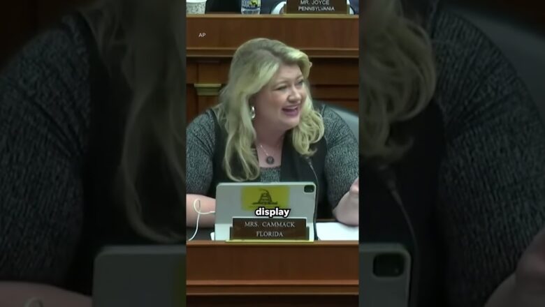 TikTok CEO pressed on privacy concerns during Congressional hearing #Shorts