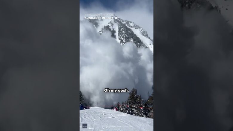 Video captures massive avalanche covering skiers in snow cloud #Shorts