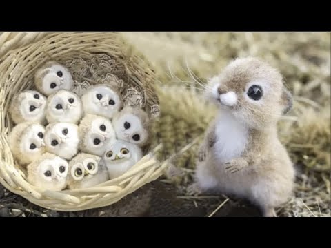 Cute baby animals Videos Compilation cute moment of the animals #9 Cutest Animals 2023