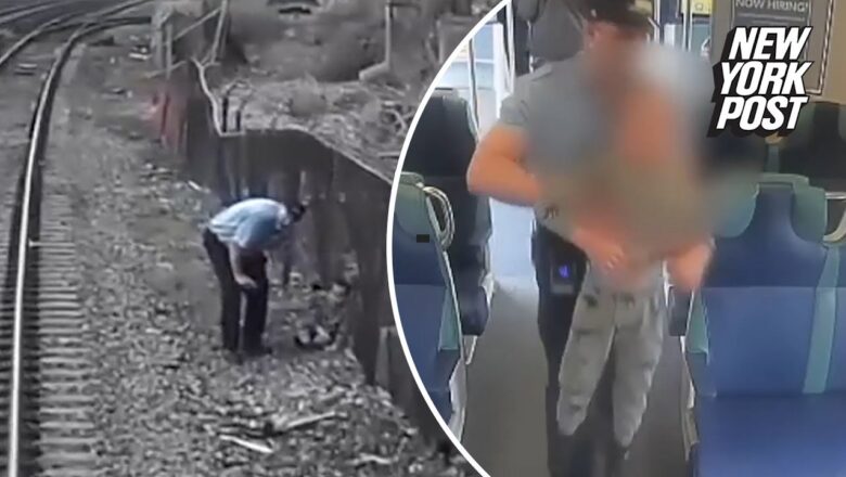 Harrowing rescue of 3-year-old boy with autism on Metro-North train tracks caught on video | NY Post