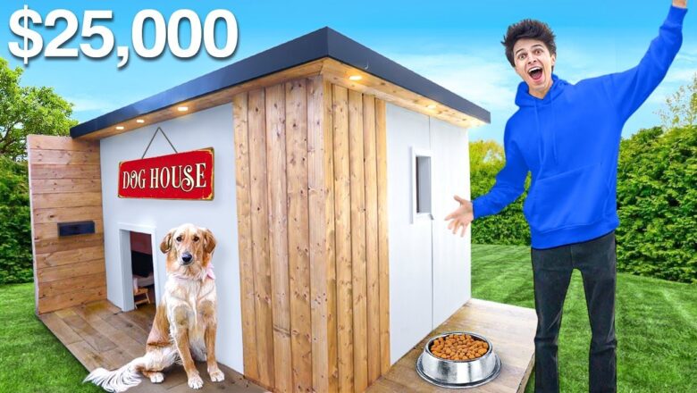 I BUILT A $25,000 DREAM DOG HOUSE!!