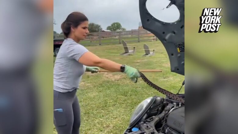 Mom leaps into action to remove snake from daughter’s car | New York Post