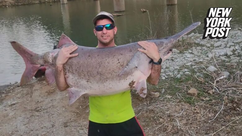 Prehistoric ‘river monster’ reeled in by kayaker after hourlong battle | New York Post