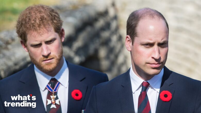 Prince Harry Cracks Down On Prince William’s Sun Settlement Amidst Trial | What’s Trending Explained
