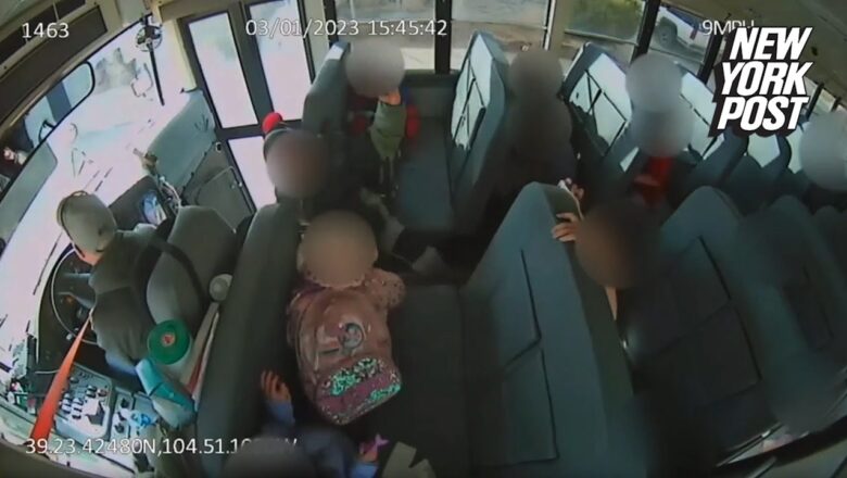 Video shows school bus driver intentionally slamming on brakes to teach kids lesson: cops | NY Post