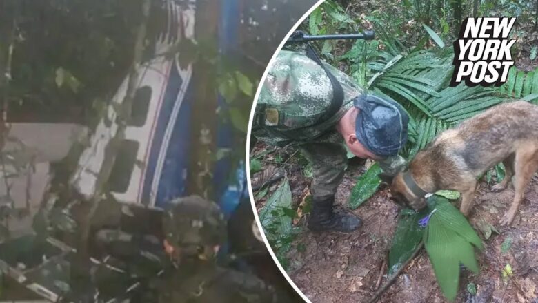 4 kids found alive two weeks after plane crashes in Colombian jungle | New York Post