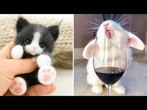 Cute baby animals Videos Compilation cute moment of the animals #12 Cutest Animals 2023