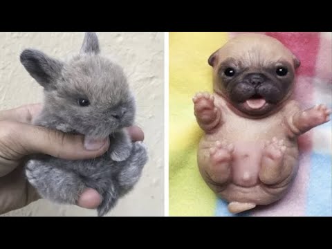Cute baby animals Videos Compilation cute moment of the animals #14 Cutest Animals 2023