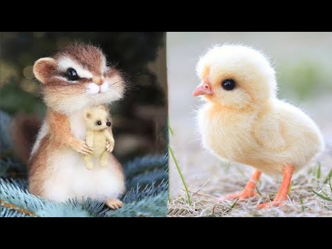 Cute baby animals Videos Compilation cute moment of the animals #11 Cutest Animals 2023