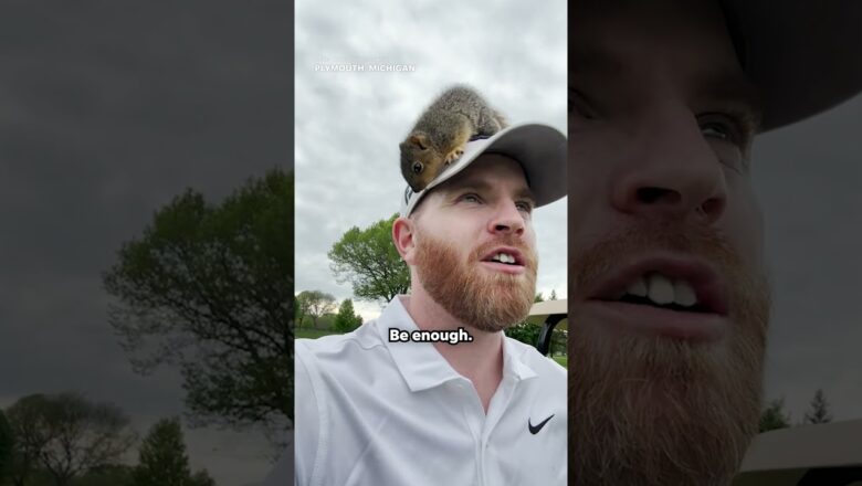 ‘He’s on my head’: Squirrel joins golfers for a day on the course #Shorts
