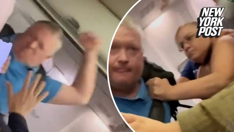 Shocking moment angry passenger repeatedly punches United flight attendant | New York Post