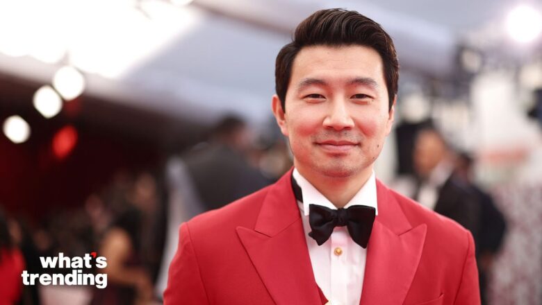 Simu Liu Faces Heat For Calling Out TikToker Who Criticized Him Online