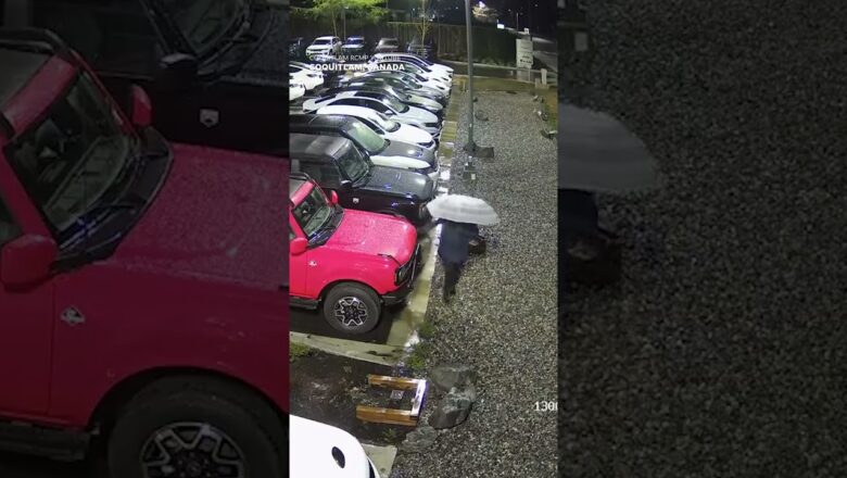 Surveillance footage captures woman keying over 400 cars #Shorts