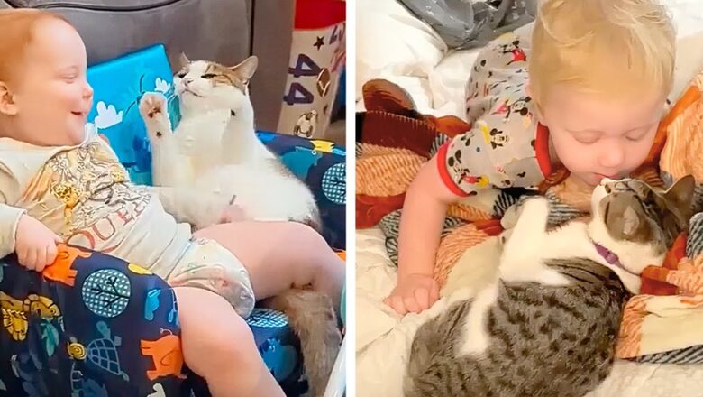 The Greatest and Funniest Moments of Kids and Animals