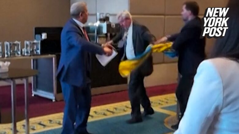 Ukraine delegate punches Russian at Black Sea nations assembly in Ankara | New York Post