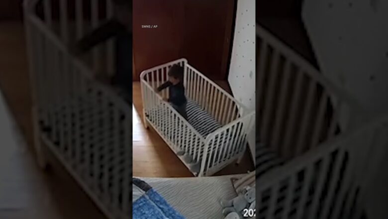 Baby genius escapes crib with clever tactic #Shorts