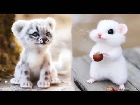Cute baby animals Videos Compilation cute moment of the animals #17 Cutest Animals 2023