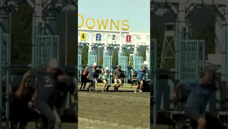 Hilarious video shows seniors running in ‘Grandparents Race’ #Shorts