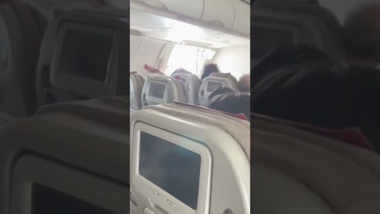 Passenger opens emergency exit door during flight #Shorts