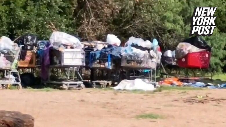 Video shows Austin’s ‘crown jewel’ trail trashed by hidden homeless camps: ‘It’s destroyed’