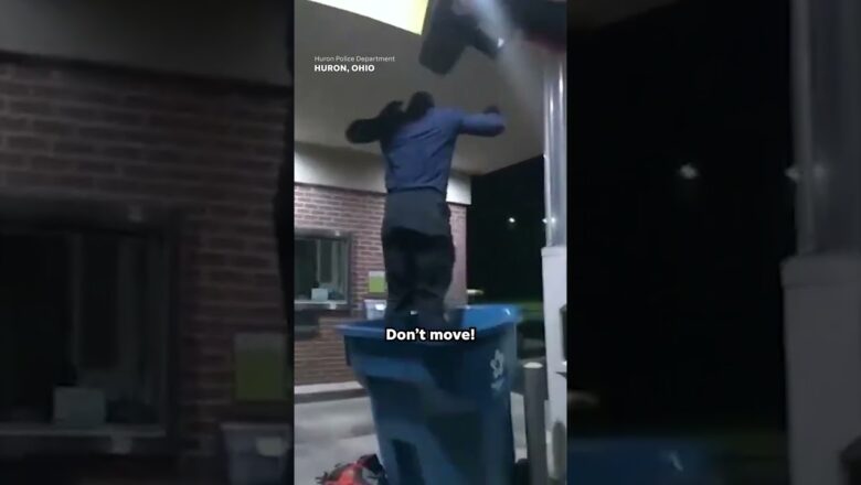 Bank robber falls into recycling bin during attempted escape #Shorts