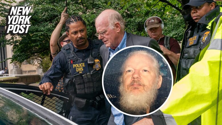 Ben & Jerry’s co-founder Ben Cohen arrested in DC protesting Julian Assange prosecution