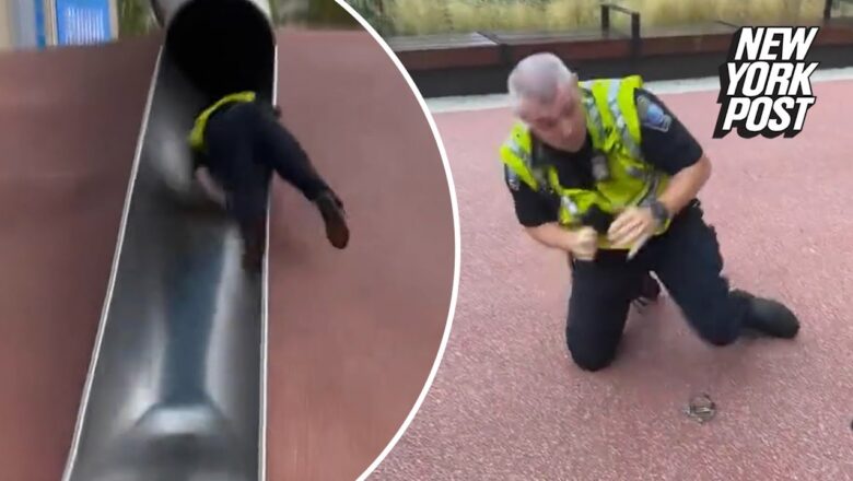 Boston cop violently launched off massive park slide in viral video