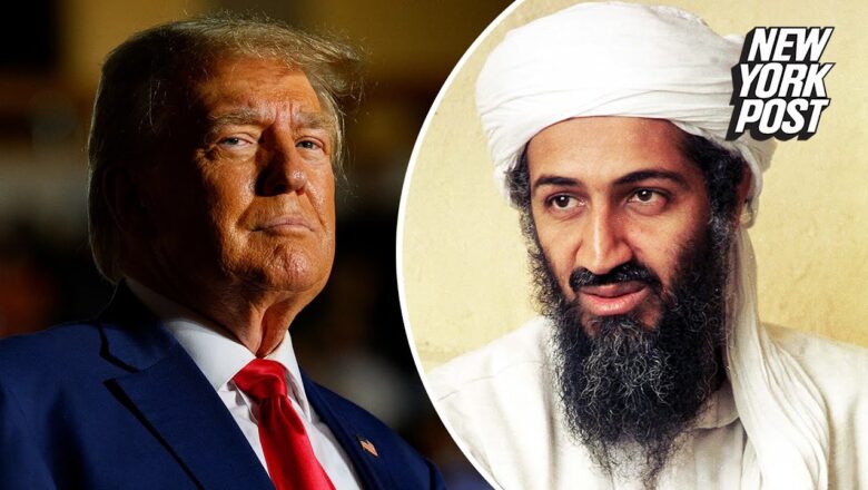 CNN analyst says Trump’s indictment made him feel the same as when the US ‘killed Osama bin Laden’