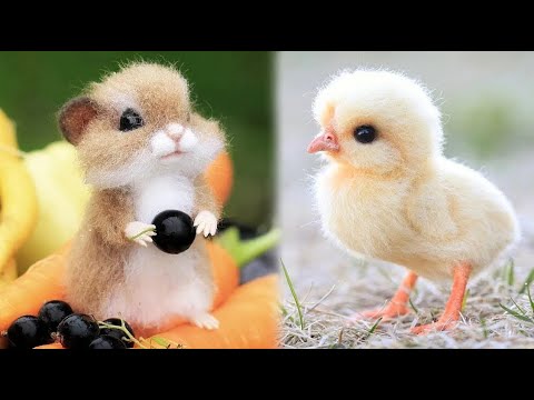 Cute Baby Animals Videos Compilation | Funny and Cute Moment of the Animals #4 – Cutest Animals