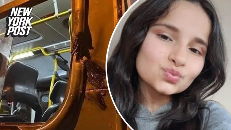 Girl on school bus dies while waving to friends as head collides with pole