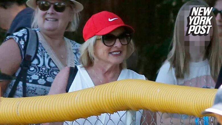 Grandma, accused of running global drug ring, smiles at game despite potential 20-year sentence