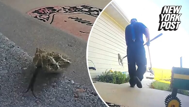 Hero FedEx driver kills rattlesnake on woman’s porch: ‘I hope you didn’t have a pet’