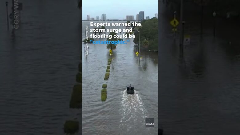 Hurricane Idalia makes landfall in Florida as ‘catastrophic’ Category 3 #Shorts