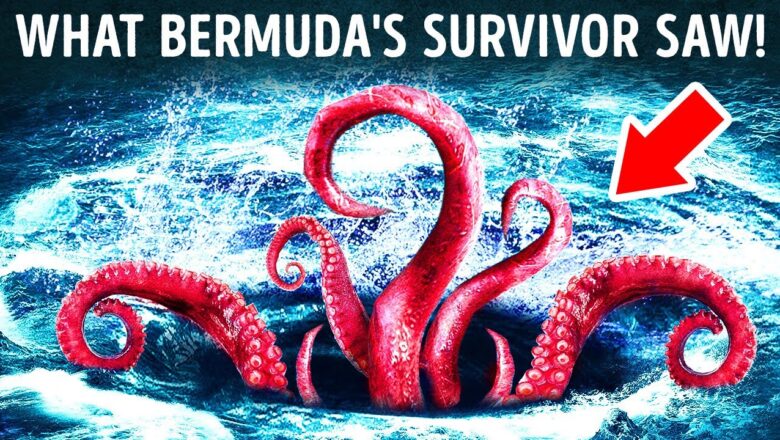 Shipwrecks and Sea Monsters: Unveiling Bermuda Triangle’s Enigma!