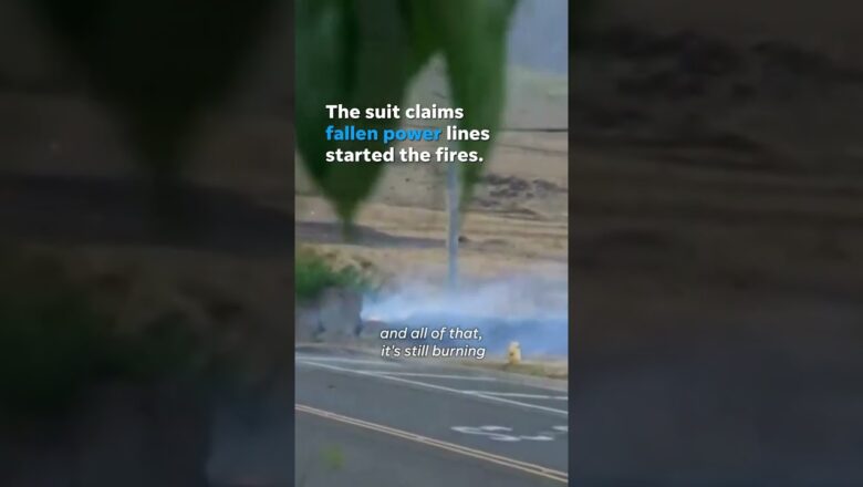 Video of downed power line, high wind could show start of Maui wildfires #Shorts