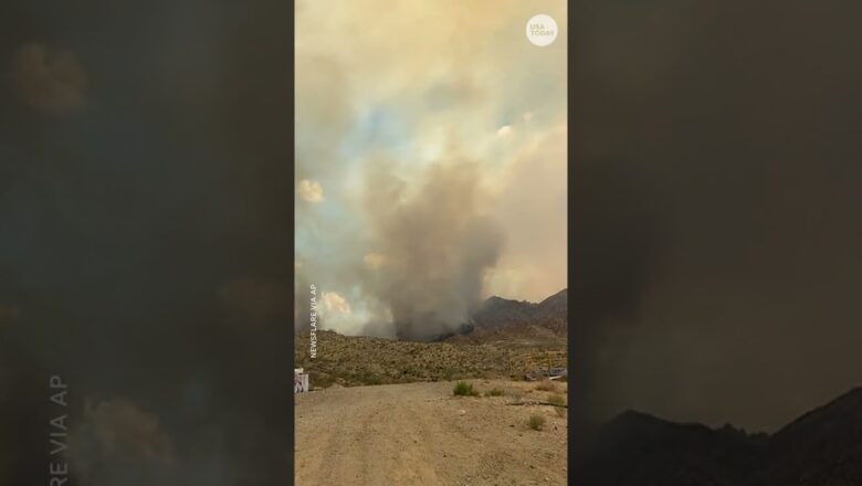 Watch: Flames line roadside as large wildfire burns in Mojave Desert #Shorts