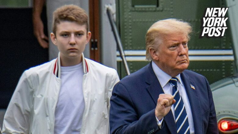 Woman threatened to shoot Donald Trump, son Barron ‘straight in the face’: feds