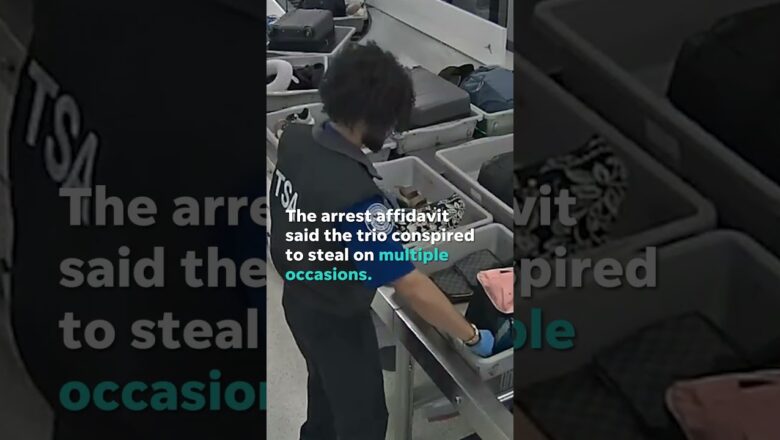 Camera spies TSA agents allegedly stealing from bags #Shorts