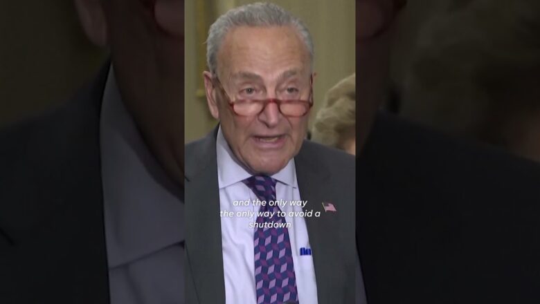 Chuck Schumer begs House to agree to bipartisan deal to avoid shutdown #Shorts