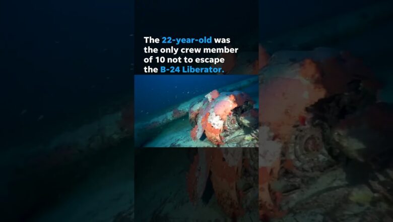 Divers recover lost WWII US airman’s remains from sunken B-24 bomber #Shorts