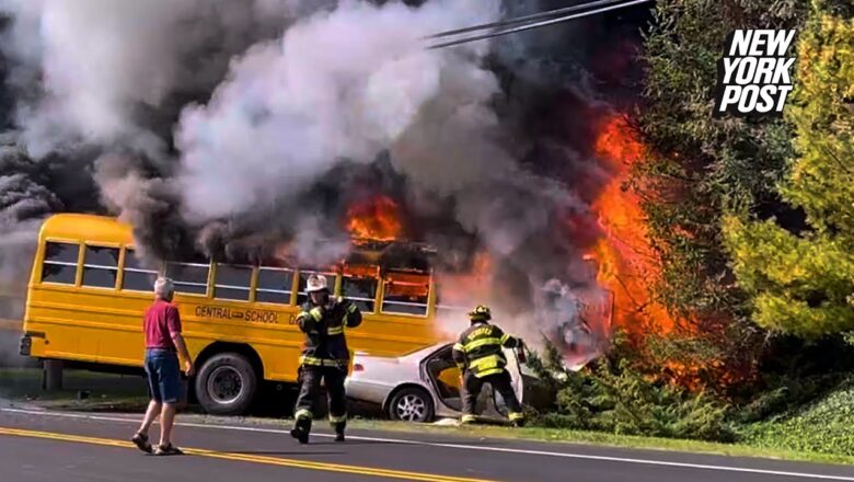 Fiery NY school bus crash leaves driver and dog dead, student injured