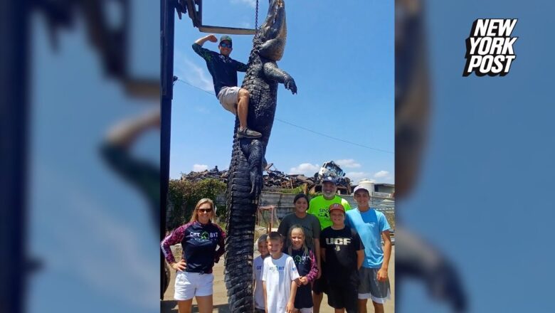 Hunters bag 920-pound ‘dinosaur’ alligator: ‘I thought I was going to die’