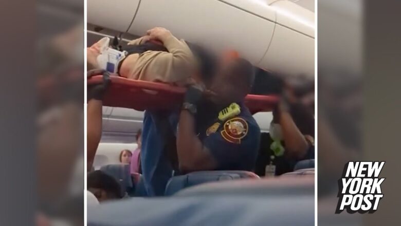 Passengers seen being taken off Delta flight on stretchers after ‘severe turbulence’ Injures 11